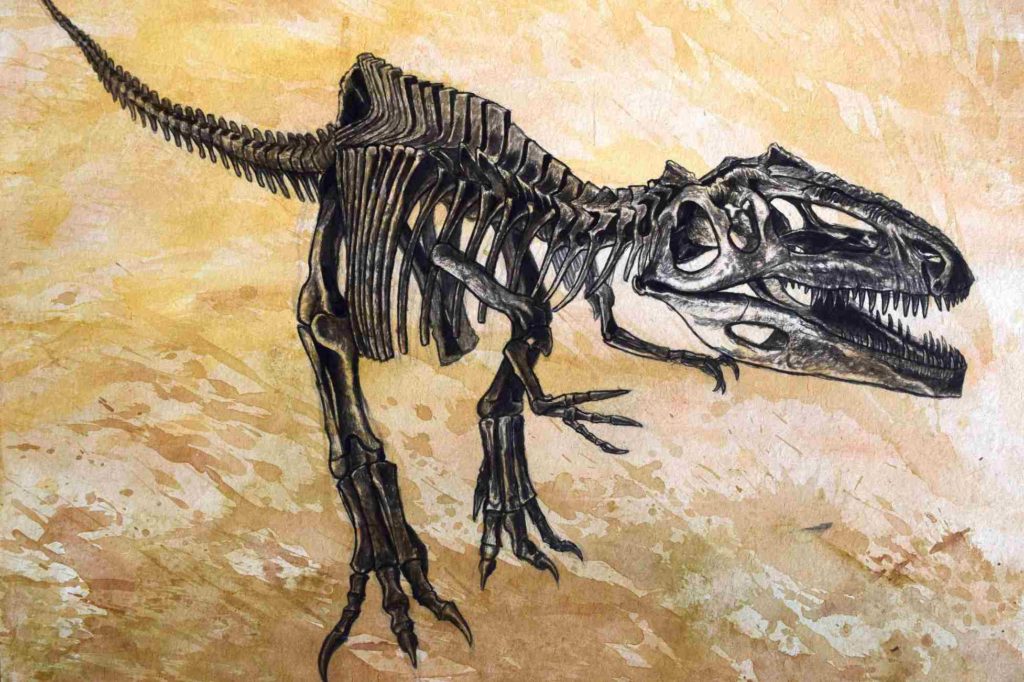 гигантозавр скелет