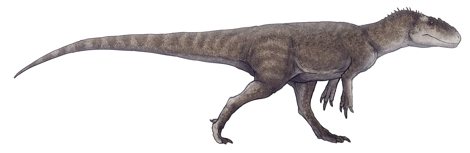 Ихтиозавры