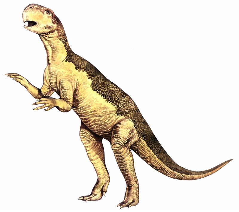 пситаккозавр