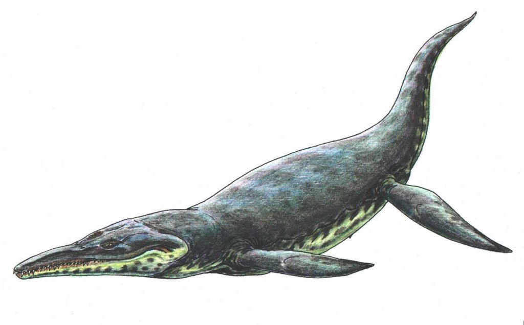 кронозавр