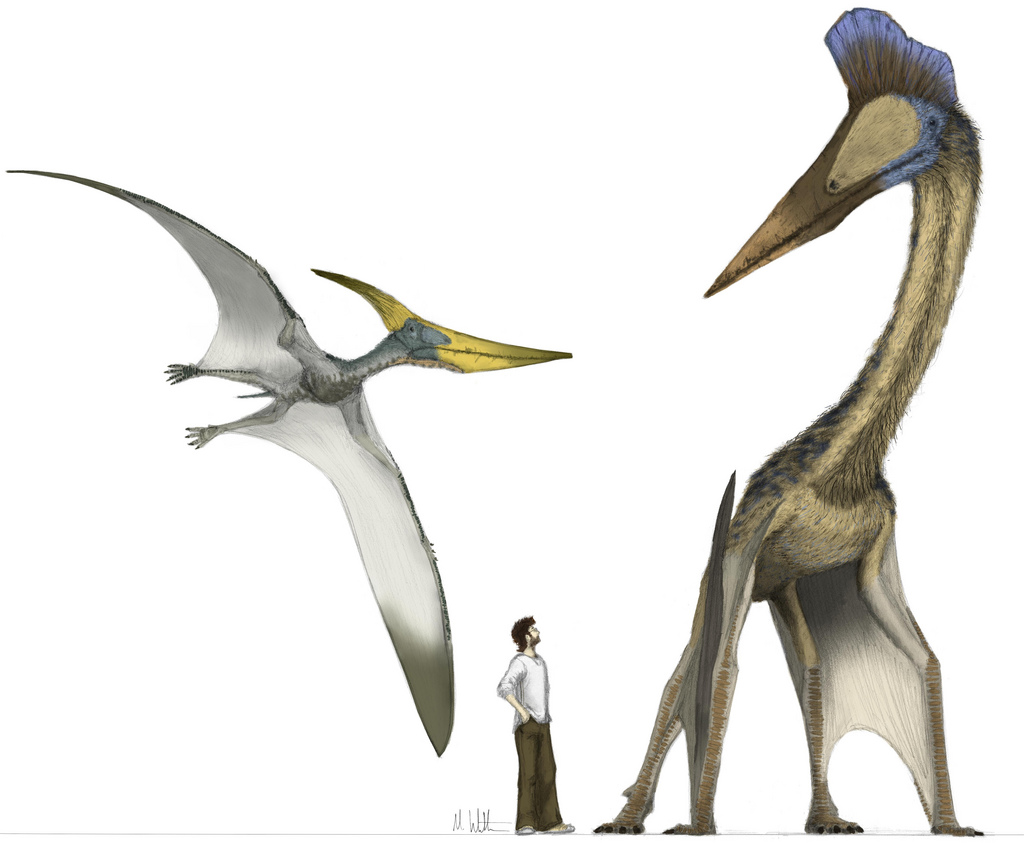 птерозавры