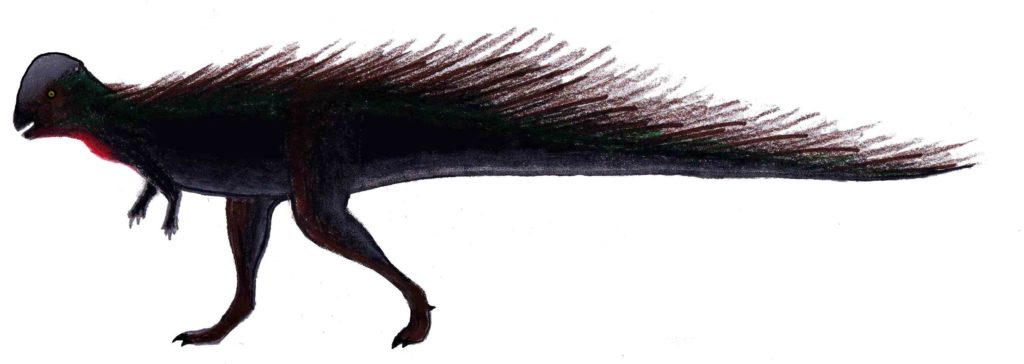 Колепиопахицефалозавр