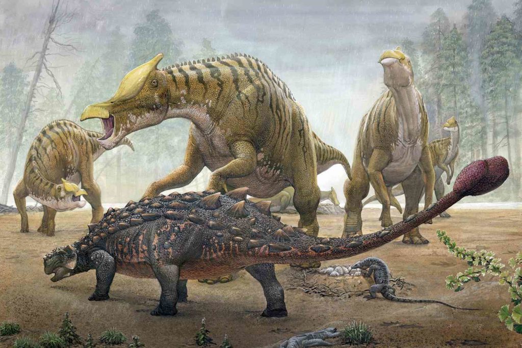 анкилозавр сражается с гадрозаврами