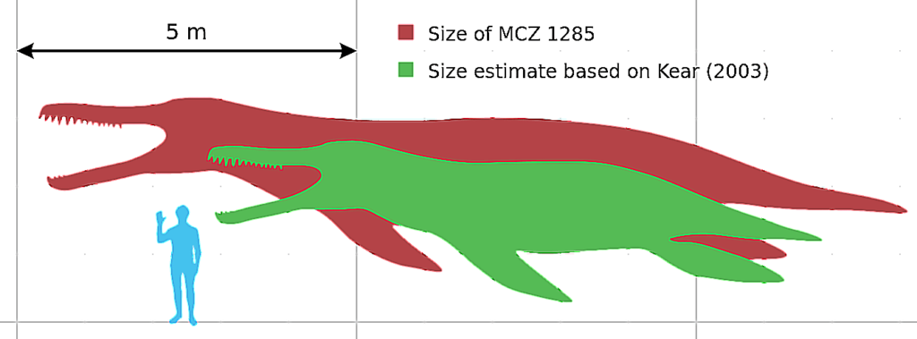 размеры кронозавра