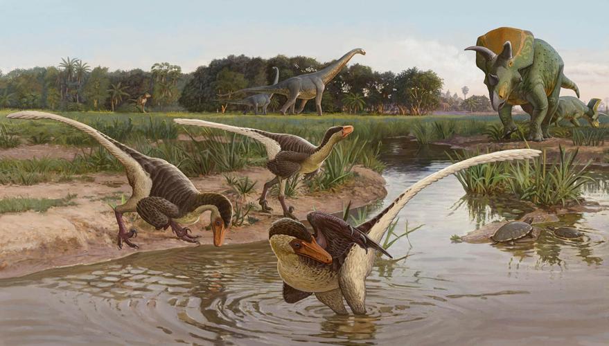 Пернатые динозавры в реке