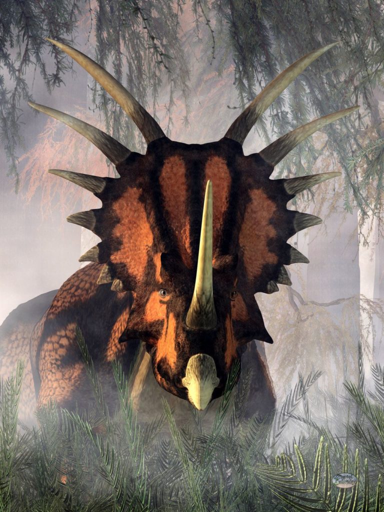 Голова стиракозавра