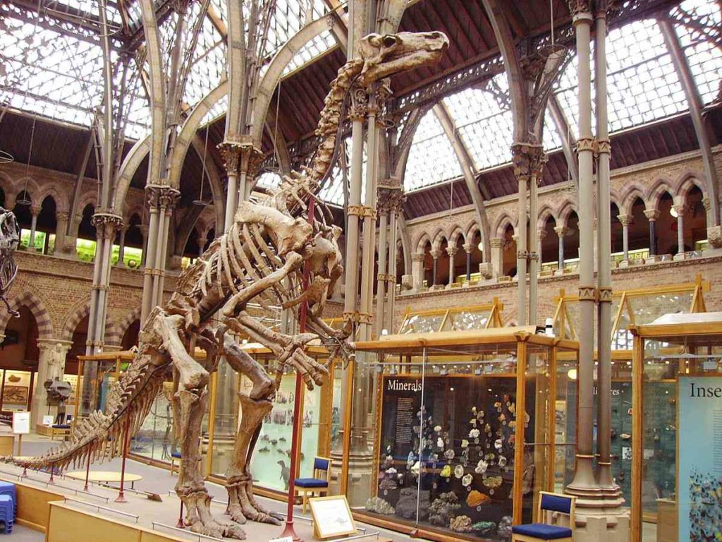 Скелет игуанодона